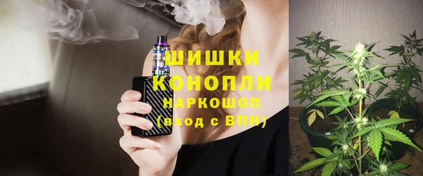 хмурый Пересвет
