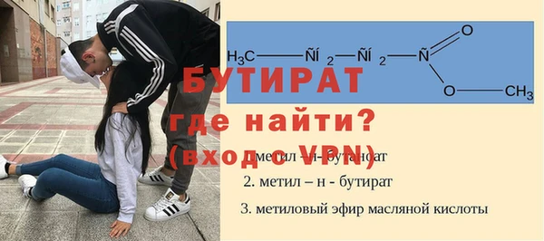 хмурый Пересвет