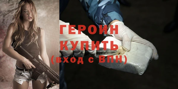 хмурый Пересвет