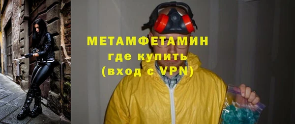 хмурый Пересвет