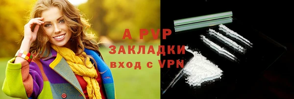 хмурый Пересвет