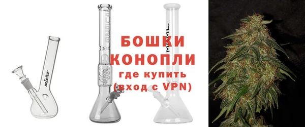 хмурый Пересвет