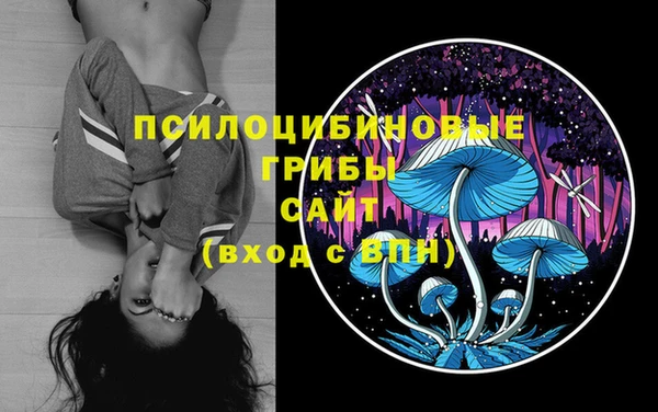 ECSTASY Переславль-Залесский