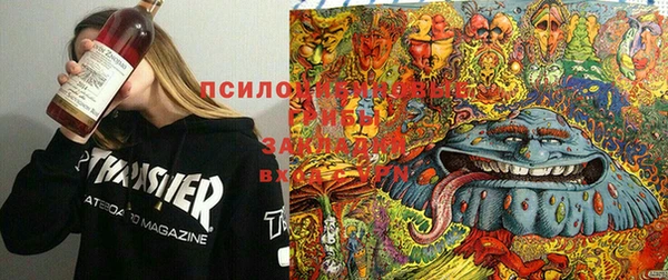 гидра Осинники