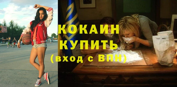 гидра Осинники
