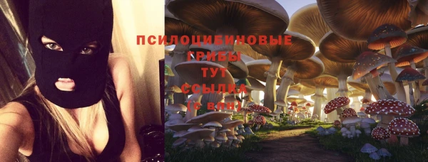 apvp Осташков