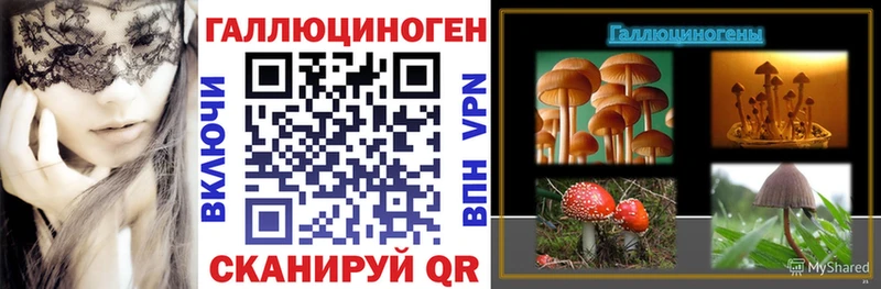 где купить наркоту  Ртищево  Галлюциногенные грибы Magic Shrooms 