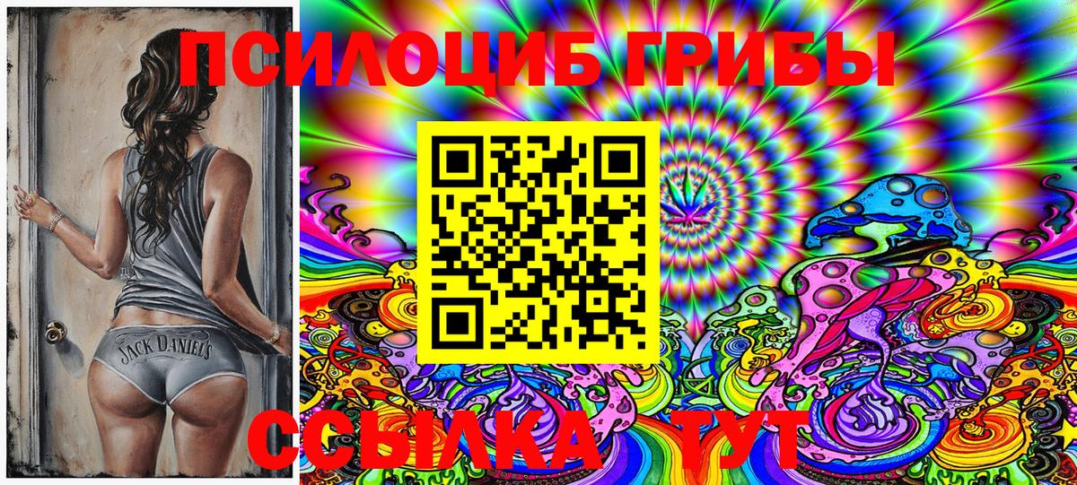 Псилоцибиновые грибы Psilocybe  Ртищево 